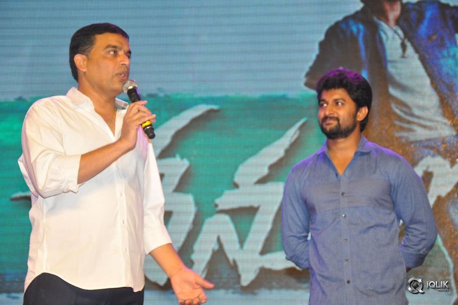 Nenu-Local-Movie-100-Days-Function